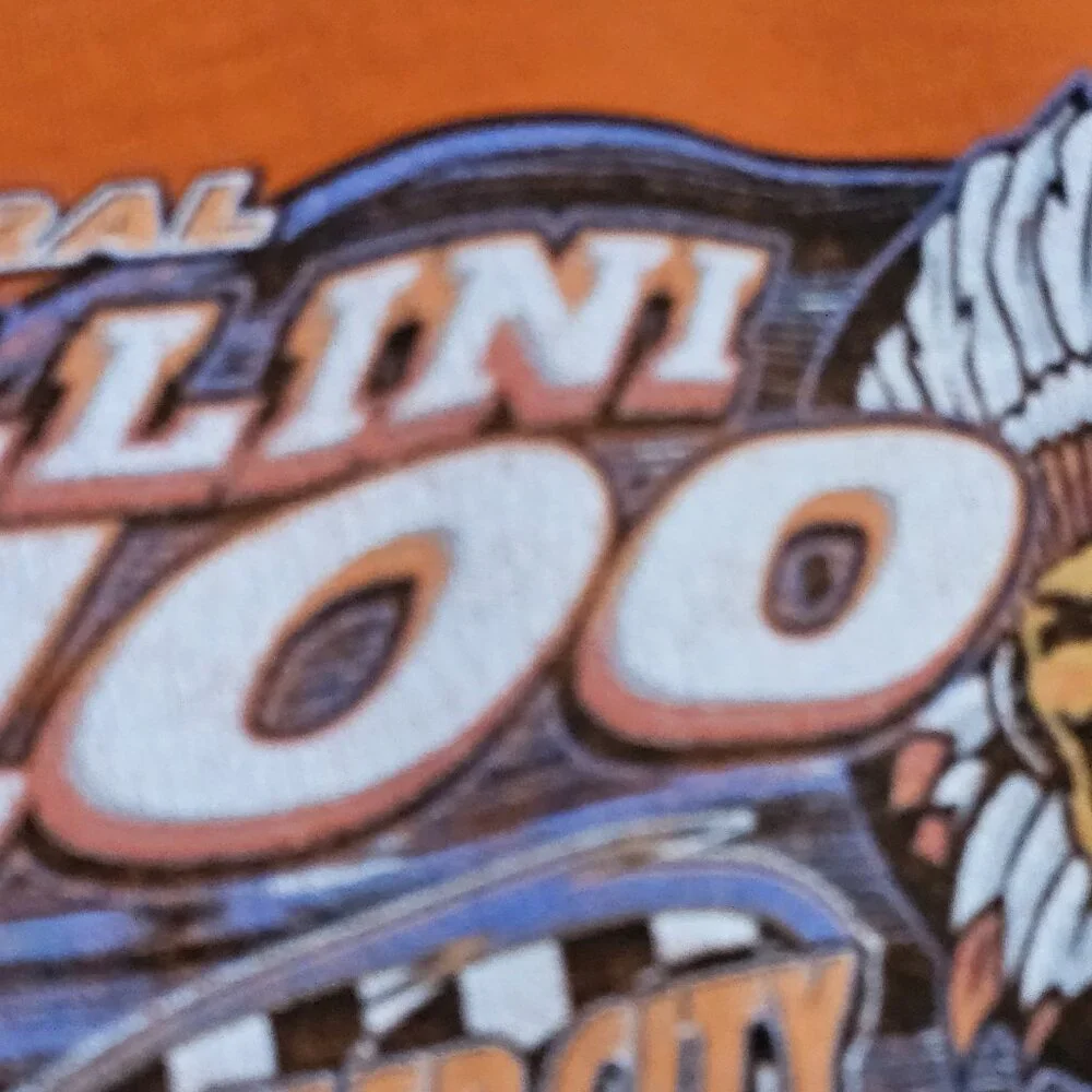 Y2K Inaugural Illini 100 Hoodie Size L Orange Late‎ Model Farmer City Chief
